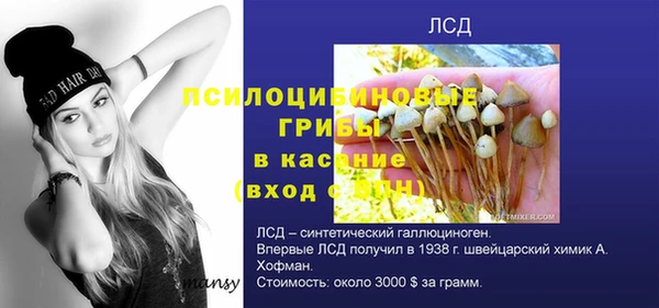 ALPHA PVP Богородск