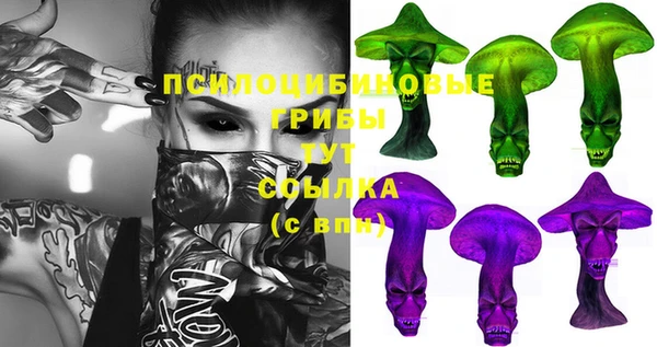 MDMA Богородицк